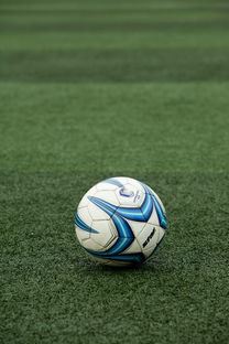 开云体育官方网站-校园体育器材采购流程规范化建议,学校体育器材招标书