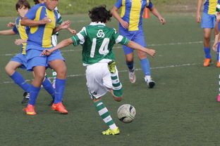 开云网页-中国足球赛事直播流量与关注度指数追踪，中国足球关注度数据